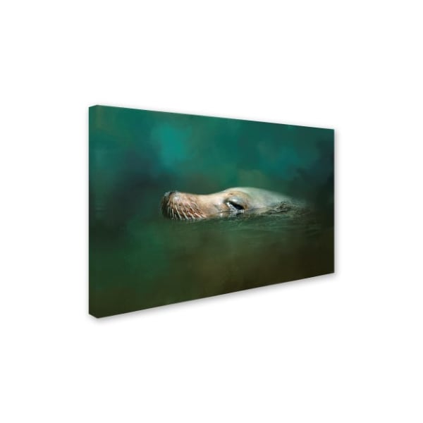 Jai Johnson 'The Sea Lion Emerges' Canvas Art,16x24